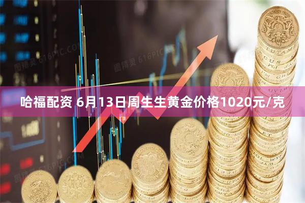 哈福配资 6月13日周生生黄金价格1020元/克